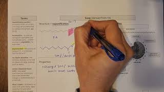 Soap  saponification reaction properties and micelle structure [upl. by Sivraj704]