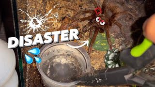 WATERING my TARANTULAS at night  GONE WRONG  “Part 12 ” [upl. by Razec]