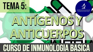 Antígenos y Anticuerpos Inmunoglobulinas Inmunógenos Haptenos Determinantes o Epítopos [upl. by Boser]