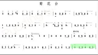 菊花台 （加小节指示， 注琵琶指法） D调伴奏  Terrace of chrysanthemums instrumental in D [upl. by Pomeroy815]