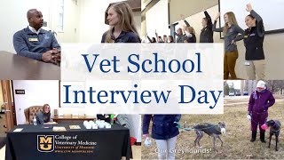 VET SCHOOL INTERVIEW DAY  BellaVet [upl. by Malka]