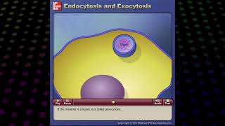 Endocytosis and Exocytosis McGraw Hill [upl. by Compte264]