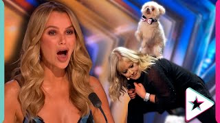 AMAZING Dog Act is BACK on Britains Got Talent [upl. by Grodin552]