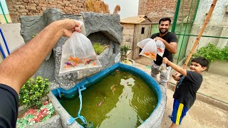 Bht Sari Colourful Fishes Le Aiy😍 [upl. by Bryan]