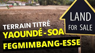 TRES GROSSE OPPORTUNITE DU COTE DE SOA AVEC NOTRE SITE DE FEGMIMBANGESSE [upl. by Gnav755]