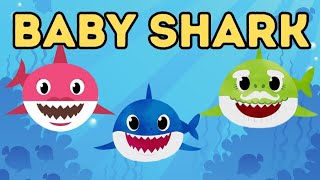 Baby shark doo doo  kids song  baby shark fun song [upl. by Adnoral]