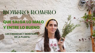 BENEFICIOS del ROMEROHierba sagrada [upl. by Nuncia]