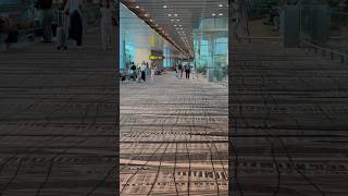 Exploring the Famous Carpeted Changi Airport  Manila to San Francisco Transit ✈️ [upl. by Mackay]