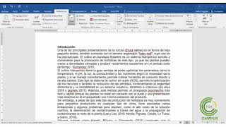 Cargar citas y bibliografía en Word con Mendeley [upl. by Tnemelc378]