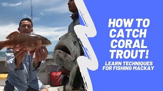 How to catch Coral Trout Secrets Revealed around Mackays Inshore Islands  massive GT  EP 14 [upl. by Marienthal704]