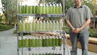 An Algae Bioreactor from Recycled Water Bottles [upl. by Enelrahc]