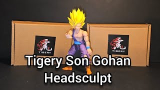 Tigery Son Gohan SSJ2 custom headsculpt unboxing and review dbz shfiguarts custom 3rdparty [upl. by Ttenaej487]