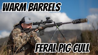 WARM Barrels Shooting Feral Pigs amp Foxes  Over 130 Fall  Kill Shots with a 223Rem amp 308Win [upl. by Dyana]