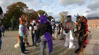 Furnavia 2024  Unplanned Furwalk Walk Kristiansand Norway [upl. by Antonio]