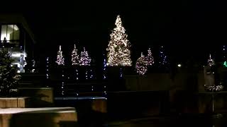 SHEBOYGAN TREE LIGHTING 2023 [upl. by Boudreaux]