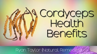 Cordyceps Benefits for Health [upl. by Norraa699]