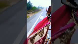 nanah shortsvideo newsong love punjabisong [upl. by Eignat]