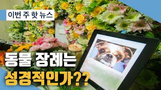 반려동물도 구원 받을 수 있을까  강아지도 가족인데 교회에서 장례식 안해주나요Ft대한예수교장로회 고신 제74회 총회 [upl. by Annadiana]