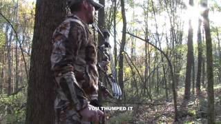 Bow buck from the ground Larry Gauthier Pa treestands on our backs [upl. by Amalle]