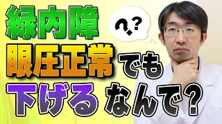 緑内障で眼圧正常でも眼圧下げろと言われるのは納得できない [upl. by Letnahs]