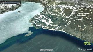 Arctic Tern Migration Google Earth Tour Video [upl. by Angell]