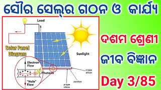 solar cell class10 life science class10 internal assessment 3 life science principle of solar cell [upl. by Euqnom]