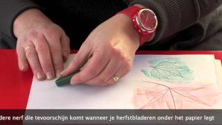 Te Gekke creatie met bladeren [upl. by Acinej]