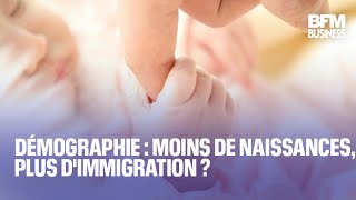 Démographie  moins de naissances plus dimmigration [upl. by Bibbye]