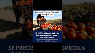 Oferta de Empleo Disponible en España agricultura empleo jobs trabajo agricultores newjobs [upl. by Monah606]