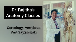 Osteology of Vertebrae Part 2 Cervical by Dr Rajitha Vanga [upl. by Ayamat]