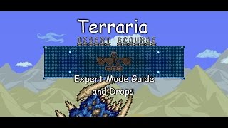 OUTDATED Terraria Calamity Mod  Desert Scourge Expert Mode Guide and Drops [upl. by Novaat454]