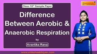 Difference between Aerobic and Anaerobic Respiration [upl. by Anid196]