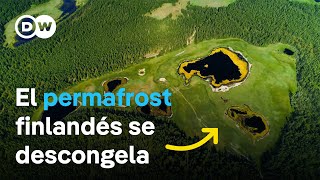 Pantanos que se derriten  ¿Cómo puede la naturaleza frenar el cambio climático  DW Documental [upl. by Onoitna]