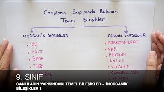 9 Sınıf  CANLILARIN YAPISINDA BULUNAN BİLEŞENLER  İnorganik Bileşikler 1  TYT 3 [upl. by Ainevuol]