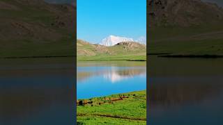 Deosai Sheosar Lake  Deosai Plains In JulyAugust [upl. by Tapes465]