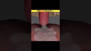 What is Uvula shorts viral factuneofficial [upl. by Borlow]