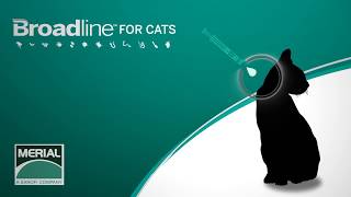 วิธีการใช้ ยาหยด Broadline For Cat [upl. by Atirrehs]