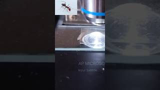 AP MICROSCOPE 52microscope microccopvideohowtomicroscopvideo [upl. by Elianora]