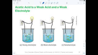 Strength of Acids and Bases [upl. by Gruchot]