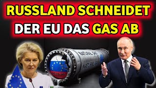 EU in Schock da Russland die Gaslieferungen nach Österreich einstellt Große Energiekrise entfaltet [upl. by Zahara]