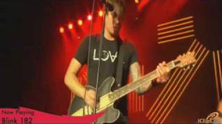 blink182 Obvious Live  Virgin Mobile Freefest 083009 [upl. by Littlejohn]