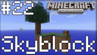 Minecraft SkyBlock  Bookshelves And Wool  Part 22 [upl. by Knute]