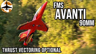 Thrust Vectored Awesomeness  FMS Avanti 90mm EDF Jet Review [upl. by Penland]