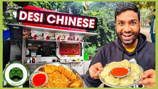 Desi Chinese Street Food in Rohini Delhi  Veggie Paaji Dilli ki Sardi [upl. by Eirollam138]