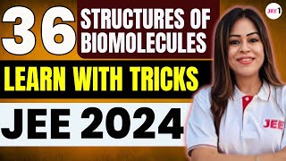 Biomolecules All Structures in One Shot  jee2024 jee2025 biomolecules  Monica Bedi [upl. by Freed]