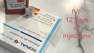 IVF  12 Days of Injections [upl. by Anigger]