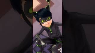 Miraculous Ladynoir and Misternoire Singing simpapa Polybila shorts miraculous ladynoir [upl. by Leahcym]