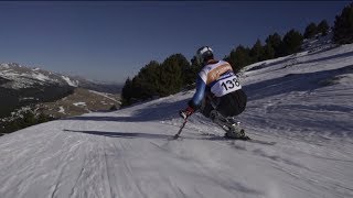 How to Paraalpine skiing  sitting category [upl. by Trinette371]