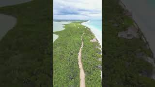 quotTransform Your Spirit Ancient Shamanic Healing at the Tulum Retreatquot soulretreat tulum mexico [upl. by Aisaim]