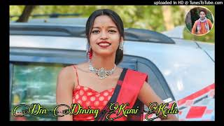 No Voice Teg Din Dining Kami Keda New Santhali Traditional Dj Remix Song 2024 New Santhali Video 202 [upl. by Attehcram]